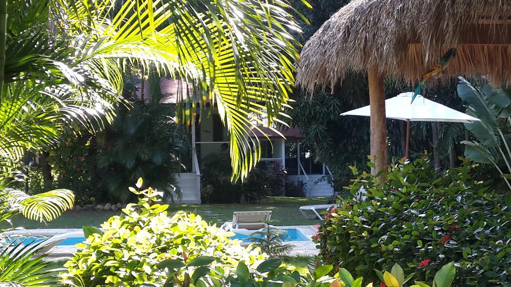 Bungalow Natura Village Sosua Exterior photo