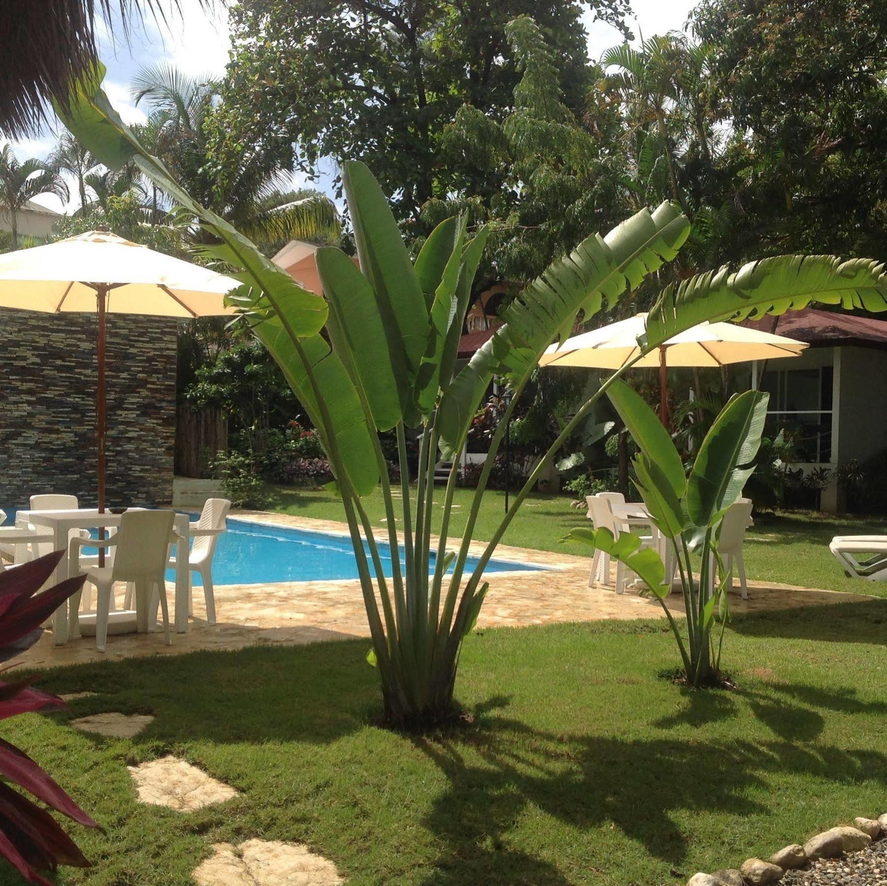 Bungalow Natura Village Sosua Exterior photo